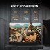 ASUS TUF GAMING FA401WU-RG037W | AMD Ryzen AI 9 HX  370, 16GB RAM, 1TB SSD, 14
